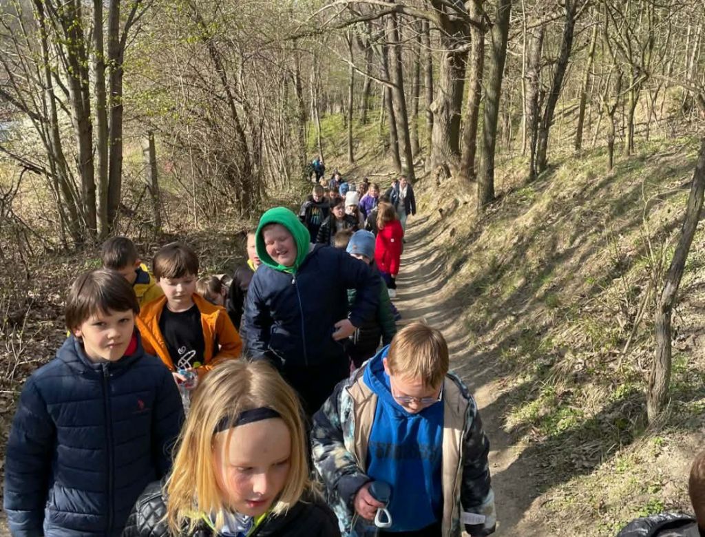 6eb0e85c cb51db 994c ed5a02e07ab5 10065