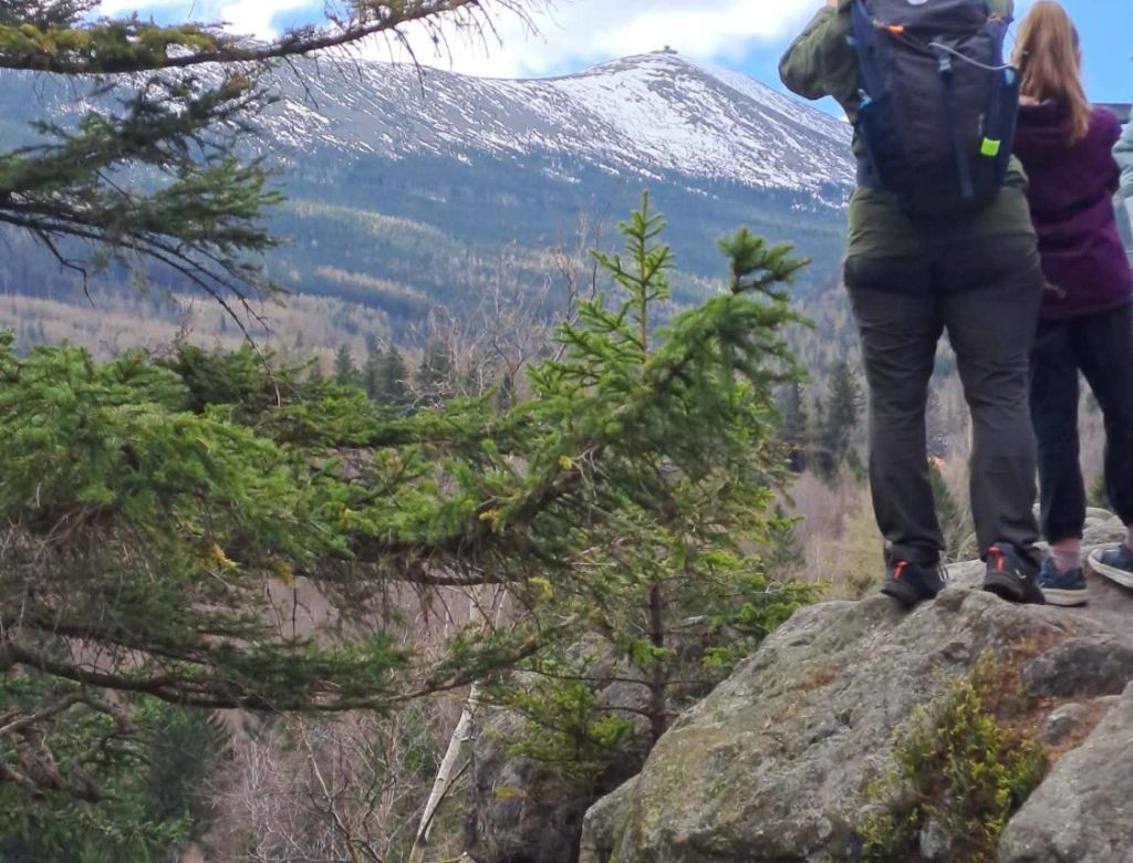 8fd0c408c88 4bc7 a3f0 5db04f30cadf 10094