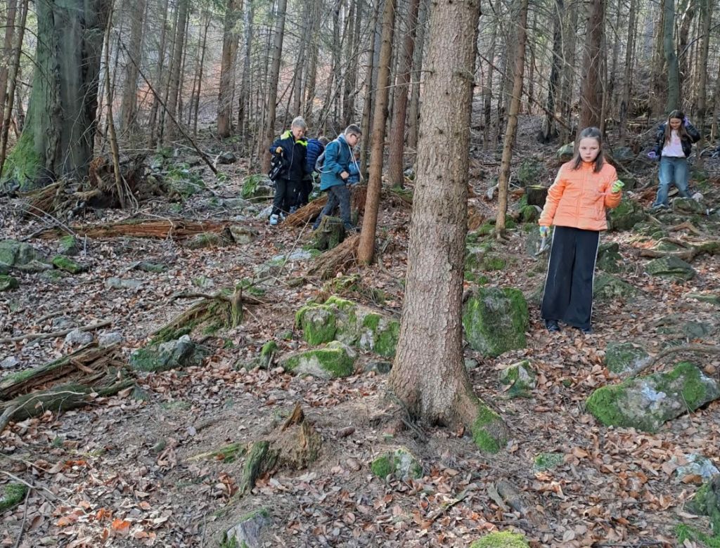 bcfb9ad5b4 4b75 bc0e b268c00ee467099