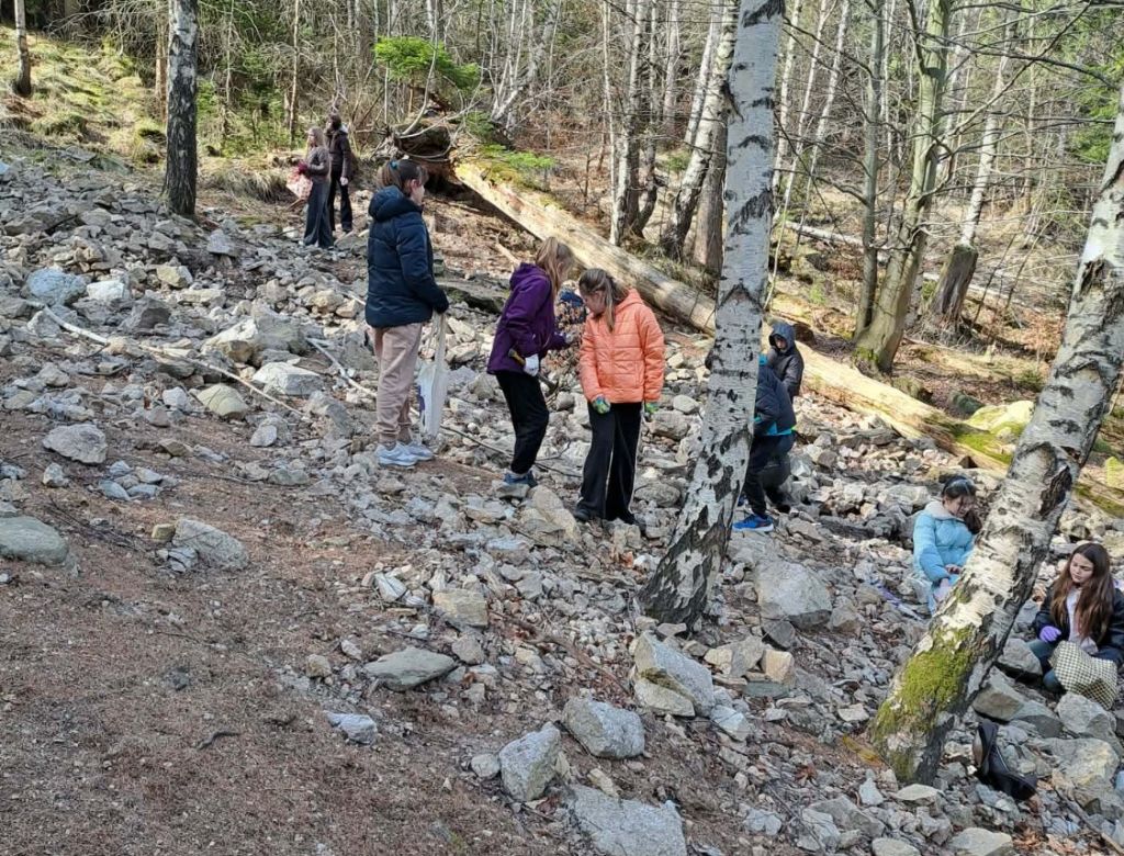 cc49b95dd 4b97 9388 ea9ec917e6b9 10100