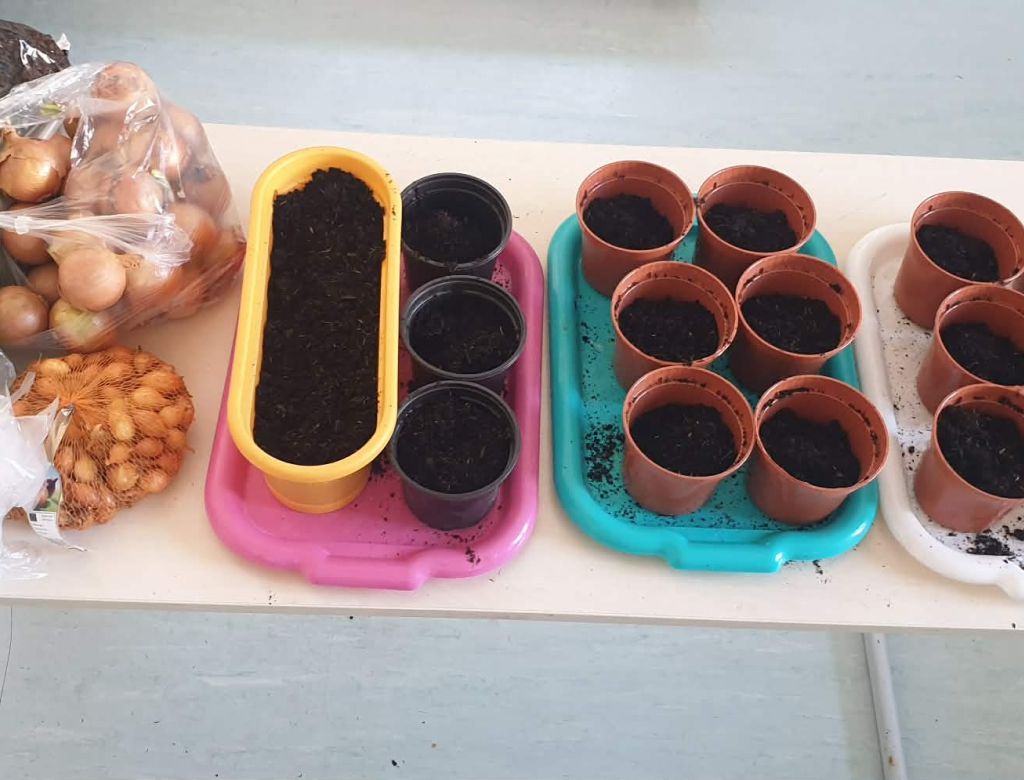 11ce1222 ba5fc0f 8cb8 ceba4fa835a3 10145