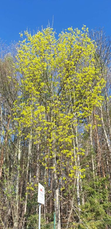 38782228c5 4aab b8bc 5200a11ad7fd 10149