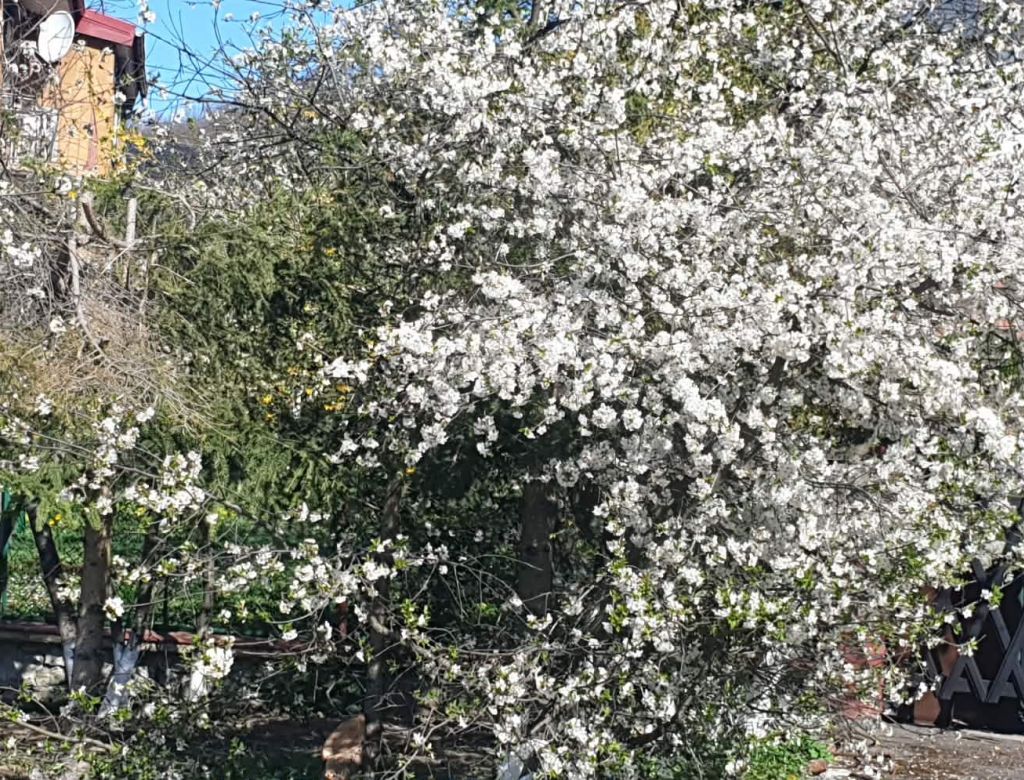 4a1b7739 49ba b86e 80ed50c0f18f 10140