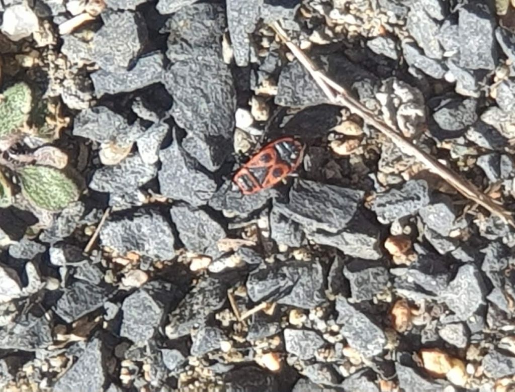 5ff7079f ece4b92 959d 7089b6d125c5 10142