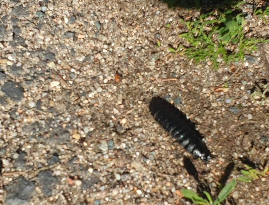 8f076959 d267 aff1 d3e3bda17117 10143