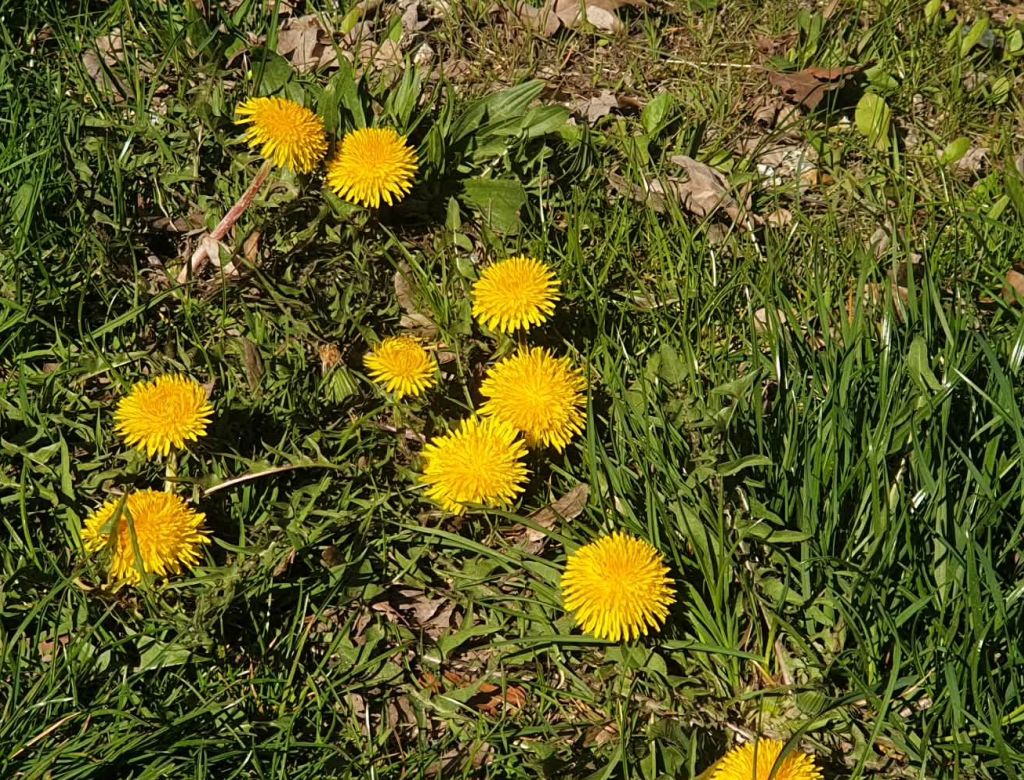 95d4ac48 c2edb7 8c36 4f105c57594b 10147