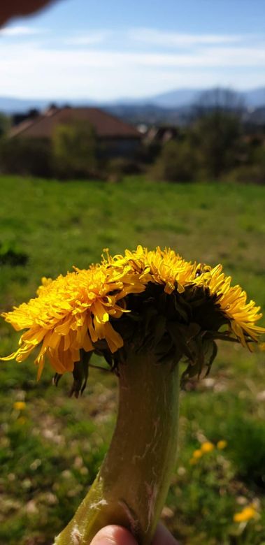 a7f37f45f73 466b 989e 0d5baa722325 10150