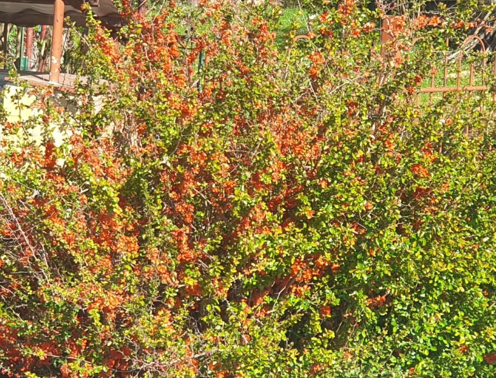 f8b88b90 d1fda 8bb4 0df81ffb11c9 10160