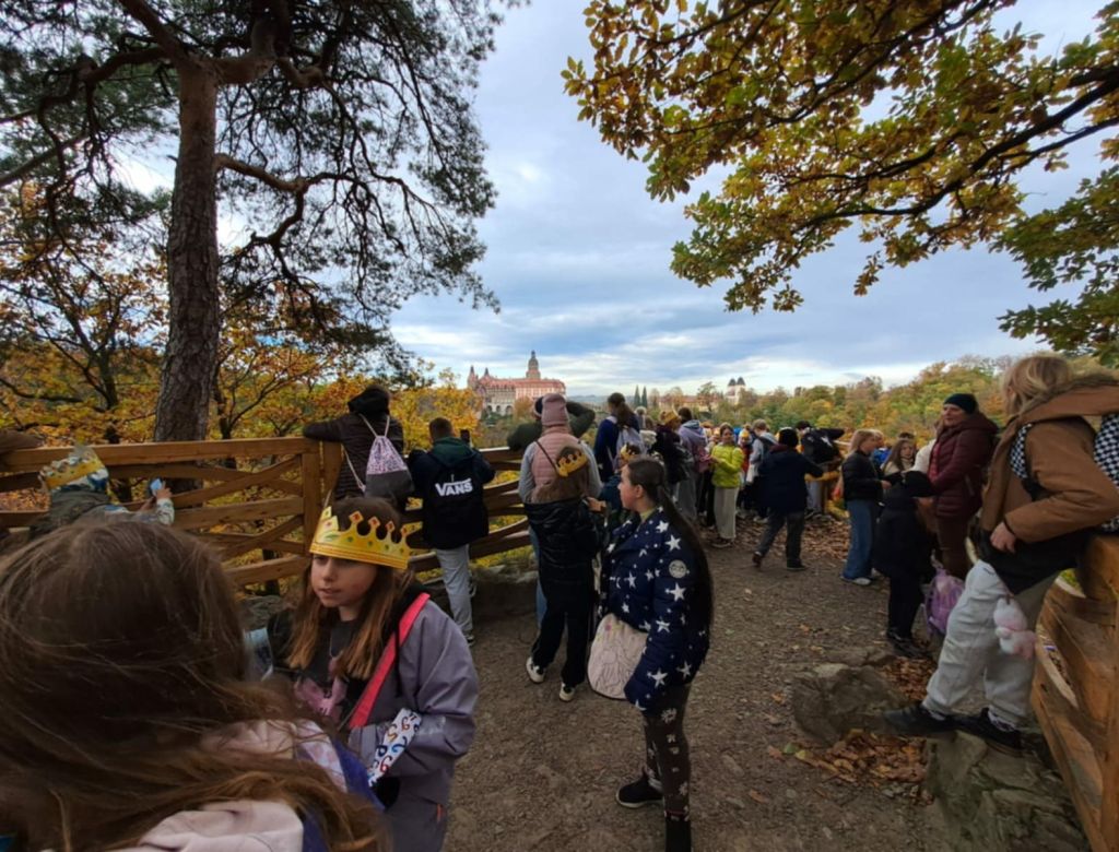 56330a80f1 40c4 8320 5facdf030f83 9217