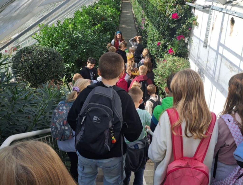 5711b0ecd9 450e bb3b a84e7ad688ca 9215