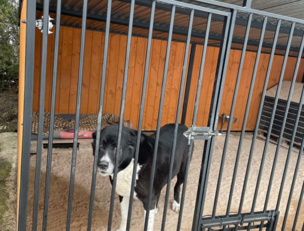 7e921d8f b447d16 8e0c 3c1d1ca7b4b8 9491