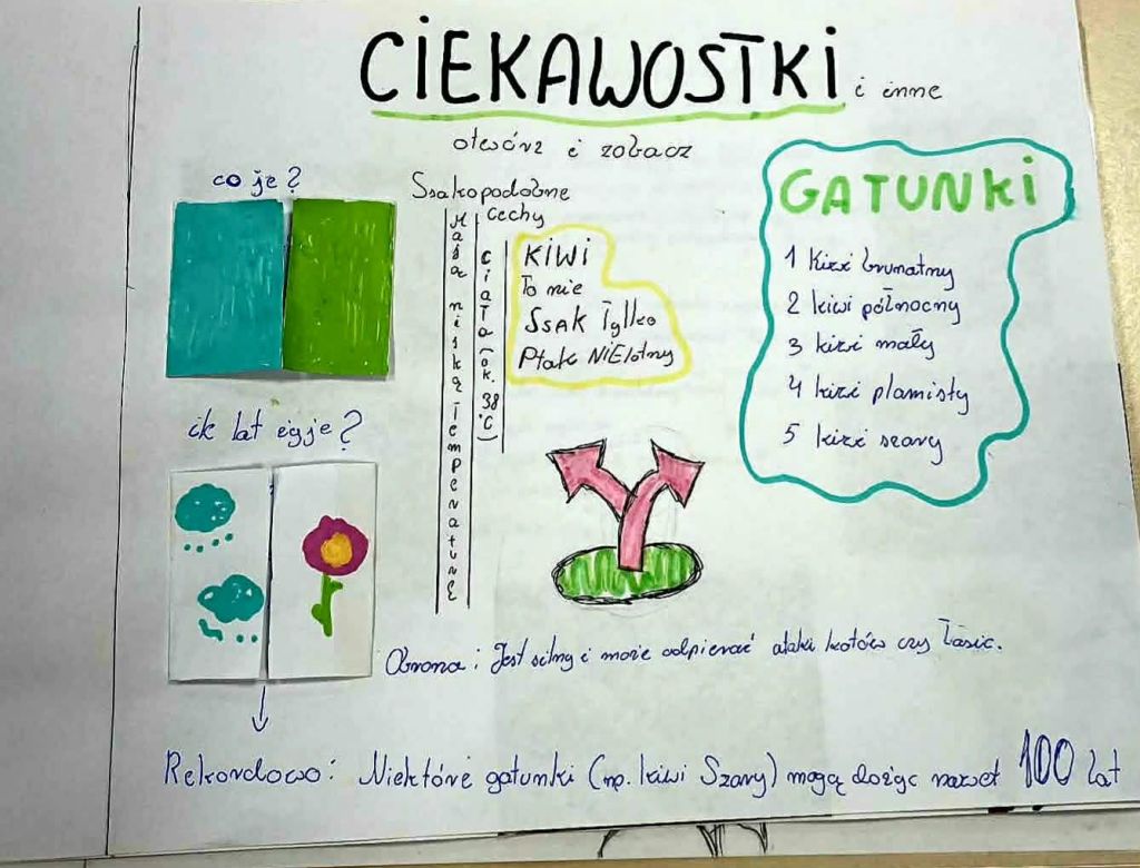 831ffe8af45 4d93 bf483e2afdaeefa 9925