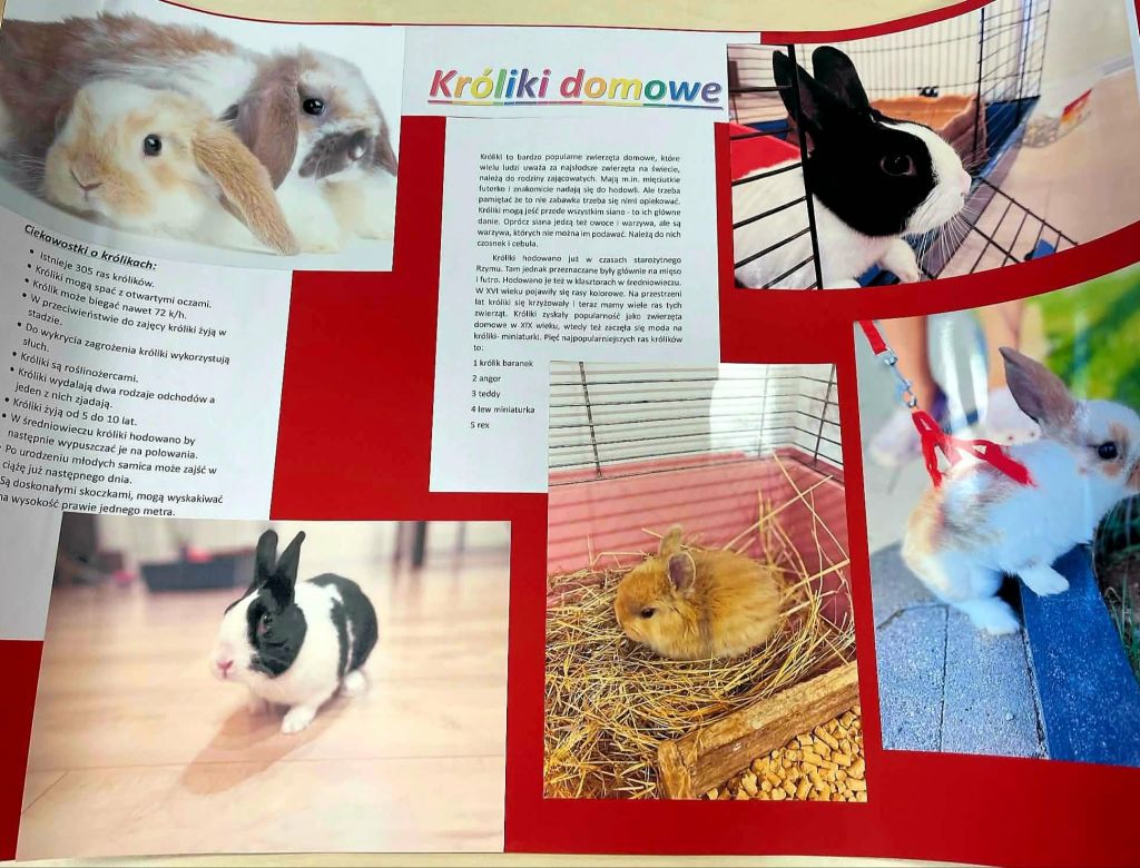 bf807e19be4 49c2 8aac 7b6ade185d3f 9927